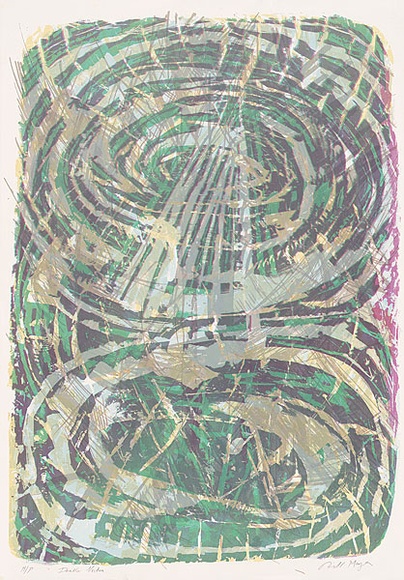 Artist: b'MEYER, Bill' | Title: b'Double vortex' | Date: 1987 | Technique: b'screenprint, printed in colour, from reduction block out, direct screen process' | Copyright: b'\xc2\xa9 Bill Meyer'