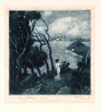 Artist: b'LINDSAY, Lionel' | Title: b'Cremorne Point, Sydney.' | Date: c.1910 | Technique: b'etching and mezzotint, printed in blue ink, from one plate' | Copyright: b'Courtesy of the National Library of Australia'