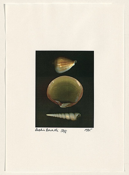 Title: b'Rococo Recollections [10]' | Date: 1995 | Technique: b'electrostatic print, printed from a Canon colour laser copier, from collaged elements'