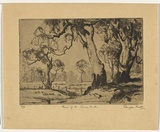Artist: b'Pratt, Douglas.' | Title: b'Gums of the sunny south' | Date: 1937 | Technique: b'etching, printed in black ink, from one plate'