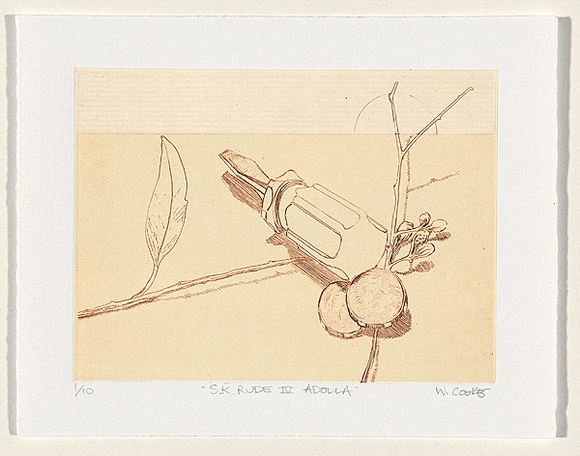 Artist: b'Cooke, Warren.' | Title: b'S.K. rude IV adolla' | Date: 1999 | Technique: b'etching, printed in sepia ink, from one plate'