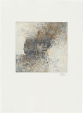 Title: Head overgrown | Date: 1999 | Technique: etching and aquatint, printed in colour, from two plates
