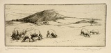 Artist: b'MORT, Eirene' | Title: b'Black Mountain, Canberra' | Date: 1924 | Technique: b'etching, printed in black ink, from one plate'