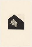 Title: Rag | Date: 1978 | Technique: drypoint, printed in black ink, from one perspex plate