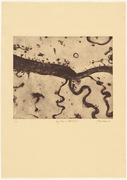 Artist: b'Olsen, John.' | Title: b'Big river and little rivers.' | Date: 1990 | Technique: b'aquatint and etching, printed in brown ink with plate-tone, from one plate'