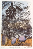 Artist: b'NICOLSON, Noel' | Title: b'Birds of a feather' | Date: 1999, February | Technique: b'lithograph, printed in black ink, from one plate; hand coloured'