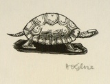 Artist: OGILVIE, Helen | Title: not titled [Tortoise ] | Date: (1947) | Technique: wood-engraving, printed in black ink, from one block