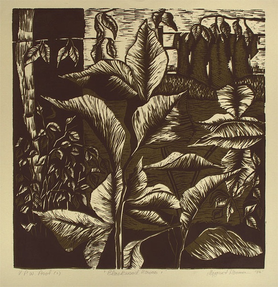 Artist: b'Hormann, Margaret.' | Title: b'Blackwood house I' | Date: 1986 | Technique: b'linocut, printed in green ink, from two blocks'