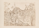 Artist: b'Forbes, Clem.' | Title: b'not titled [bush landscape].' | Date: 1970s | Technique: b'etching, printed in brown ink, from one plate'