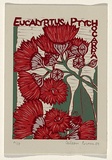 Title: b'Eucalyptus ptychocarpa' | Date: 1989 | Technique: b'linocut, printed in colour, from three blocks'