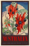 Artist: b'Mayo, Eileen.' | Title: bAustralia (Sturt's Desert Pea) | Date: 1957 | Technique: b'offset-lithograph, printed in colour, from multiple plates'