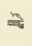 Artist: b'Law, Roger.' | Title: b'(Leaping kangaroo)' | Date: 2005 | Technique: b'aquatint, printed in sepia ink, from one plate'