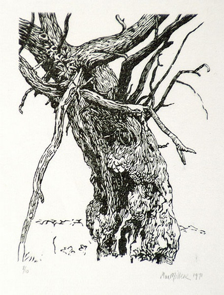 Artist: Miller, Max. | Title: Tree, branches | Date: 1971 | Technique: wood-engraving, printed in black ink, from one block