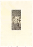 Artist: DUNN, Richard | Title: 100 Blossoms: five prisons V. | Date: 1988 | Technique: etching and lift-ground aquatint and screenprint