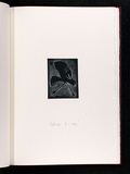 Artist: Gurvich, Rafael. | Title: Pelican 2 - step [leaf 13: recto]. | Date: 1979, April | Technique: etching, printed in black ink, from one plate | Copyright: © Rafael Gurvich
