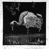 Artist: b'LINDSAY, Lionel' | Title: b'The crane' | Date: 1925 | Technique: b'wood-engraving, printed in black ink, from one block' | Copyright: b'Courtesy of the National Library of Australia'