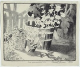 Artist: Brown, Vincent. | Title: The nasturtium tub. | Date: 1930 | Technique: lithograph, printed in black ink, from one zinc plate