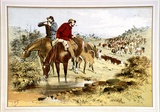 Artist: GILL, S.T. | Title: Overlanders | Date: (1865) | Technique: lithograph, printed in colour, from multiple stones