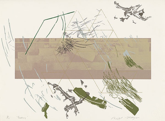 Artist: b'MEYER, Bill' | Title: b'Geodisy' | Date: 1981 | Technique: b'screenprint, printed in seven colours, from four screens (handcut and photo direct and indirect)' | Copyright: b'\xc2\xa9 Bill Meyer'