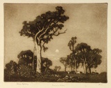 Artist: LINDSAY, Lionel | Title: Summer moon, Wahroonga, Sydney | Date: 1925 | Technique: aquatint and burnishing, printed in brown ink, from one plate | Copyright: Courtesy of the National Library of Australia