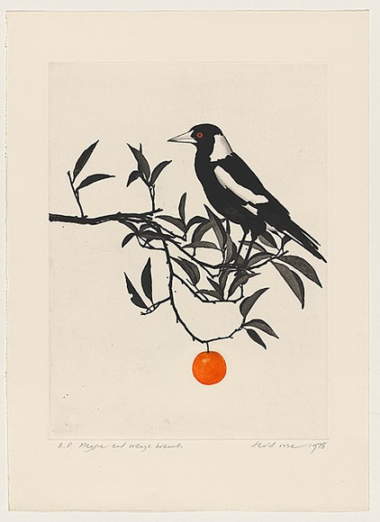 Artist: b'ROSE, David' | Title: b'Magpie and orange branch' | Date: 1978 | Technique: b'aquatint and watercolour'