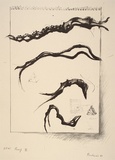 Artist: Weiss, Rosie. | Title: not titled [4 branch-like forms] | Date: 1981 | Technique: lithograph, printed in black ink, from one stone