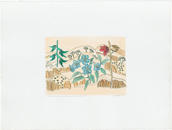 Artist: b'Bradhurst, Jane.' | Title: b'Kimberley rose, bird flower and wild solanum, Bungle Bungles WA.' | Date: 1997 | Technique: b'lithograph, printed in colour, from multiple stones; hand-coloured'