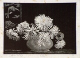 Artist: b'LINDSAY, Lionel' | Title: b'Asters' | Date: c.1936 | Technique: b'wood-engraving, printed in black ink, from one block' | Copyright: b'Courtesy of the National Library of Australia'