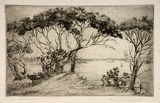 Artist: b'MORT, Eirene' | Title: b'Sydney Harbour from Vaucluse' | Date: 1923 | Technique: b'etching, printed in black ink, from one plate'