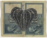 Artist: b'HALL, Fiona' | Title: b'Smilax aspera (Italian currency)' | Date: 2000 - 2002 | Technique: b'gouache' | Copyright: b'\xc2\xa9 Fiona Hall'