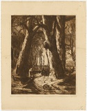 Artist: b'van RAALTE, Henri' | Title: b'Red Gums' | Date: 1917-19 | Technique: b'etching, printed in brown ink, from one plate'
