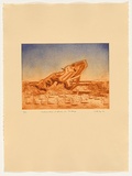 Artist: b'Sibley, Andrew.' | Title: b'Nature wins at Anna Creek Siding' | Date: 2001 | Technique: b'etching, printed in colour a la poup\xc3\xa9e, from one plate'