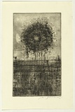 Artist: SELLBACH, Udo | Title: (Sun over landscape) | Date: 1965 | Technique: etching printed in black ink, from one plate