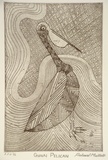 Artist: MULLETT, Richard | Title: Gunai pelican | Date: 1999, April | Technique: etching, printed in black ink, from one plate