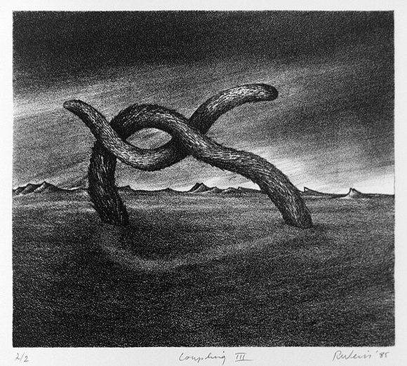 Artist: b'Weiss, Rosie.' | Title: b'Coupling III' | Date: 1985 | Technique: b'lithograph, printed in black ink, from one plate'