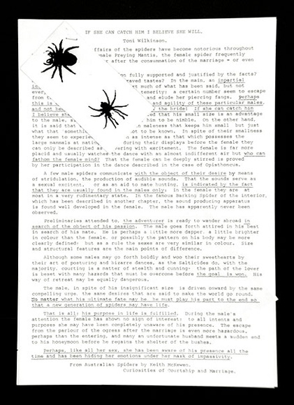 Artist: b'Wilkinson, Toni' | Title: b'If she can catch him I believe she will: an article of [2] pp. with two illustrations, from the portfolio Rare birds with s.' | Date: 1978 | Technique: b'photocopy'