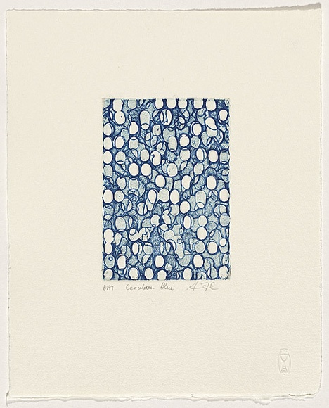 Artist: b'Taylor, Simon.' | Title: b'Cerulean blue' | Date: 2007 | Technique: b'etching, open-bite and aquatint, printed in colour, from one plate'