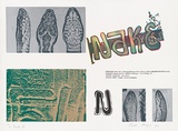 Artist: MEYER, Bill | Title: Snake II | Date: 1974 | Technique: screenprint, printed in colour, from eight screens | Copyright: © Bill Meyer