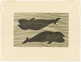 Artist: Thake, Eric. | Title: The Right Whale | Date: 1971 | Technique: linocut, printed in colour, from two blocks