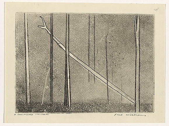 Artist: b'WILLIAMS, Fred' | Title: b'Fallen tree' | Date: 1962 | Technique: b'etching, engraving, aquatint, drypoint, printed in black ink, from one copper plate' | Copyright: b'\xc2\xa9 Fred Williams Estate'