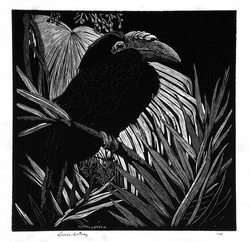 Artist: LINDSAY, Lionel | Title: The HornbillX | Date: 1931 | Technique: wood-engraving, printed in black ink, from one block | Copyright: Courtesy of the National Library of Australia