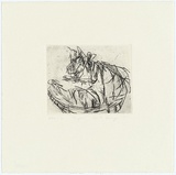 Artist: Bragge, Anita. | Title: Tiger | Date: 1997, April | Technique: etching, printed in black ink from one plate