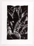 Artist: b'Wrobel, Mirek.' | Title: b'First star.' | Date: 1988 | Technique: b'linocut, printed in black ink, from one block'