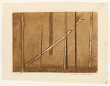 Artist: b'WILLIAMS, Fred' | Title: b'Fallen tree' | Date: 1962 | Technique: b'etching, engraving, aquatint, drypoint, printed in brown ink, from one copper plate' | Copyright: b'\xc2\xa9 Fred Williams Estate'