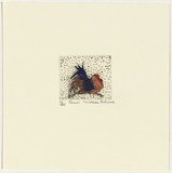Artist: Robinson, William. | Title: Rooster | Date: 1991 | Technique: etching, printed in black ink, from one plate; hand-coloured