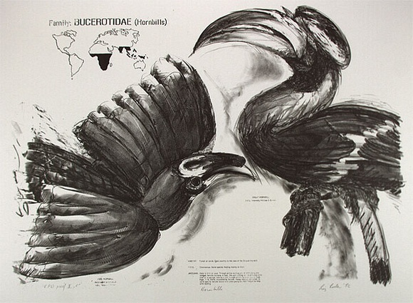 Artist: b'Loder, Liz.' | Title: b'Hornbills' | Date: 1986 | Technique: b'lithograph, printed in black ink, from one stone'