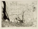 Artist: b'SHEARER, Mitzi' | Title: b'The cat is looking on' | Date: 1979 | Technique: b'etching, printed in black ink, from one  plate'
