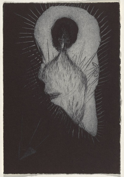 Artist: b'Uhlmann, Paul.' | Title: b'New Insecta Queensland by A A Girault.' | Date: 1989 | Technique: b'etching'