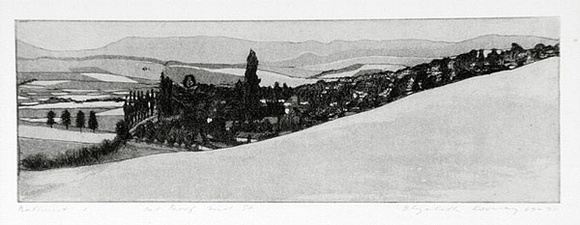 Artist: b'Rooney, Elizabeth.' | Title: b'Bathurst 1' | Date: 1969-71 | Technique: b'etching, aquatint printed in black ink with plate-tone, from one  copper plate'