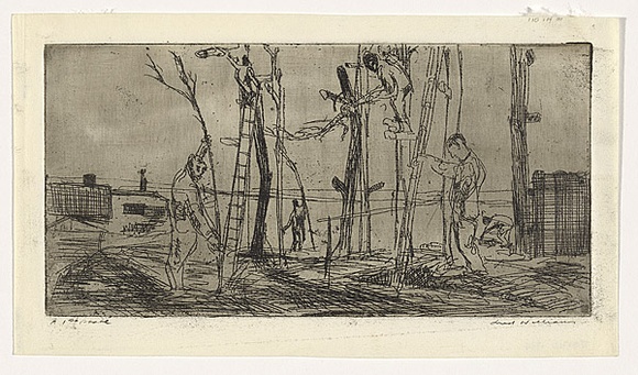 Artist: b'WILLIAMS, Fred' | Title: b'Tree pruning' | Date: 1955-56 | Technique: b'etching and foul biting, printed in black ink with plate-tone, from one brass plate' | Copyright: b'\xc2\xa9 Fred Williams Estate'